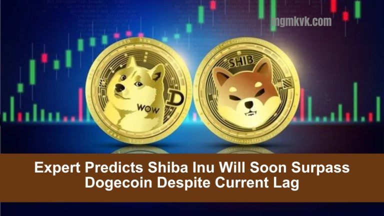 Expert Predicts Shiba Inu Will Soon Surpass Dogecoin Despite Current Lag