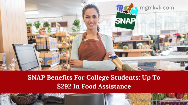 SNAP Benefits For College Students: Up To $292 In Food Assistance