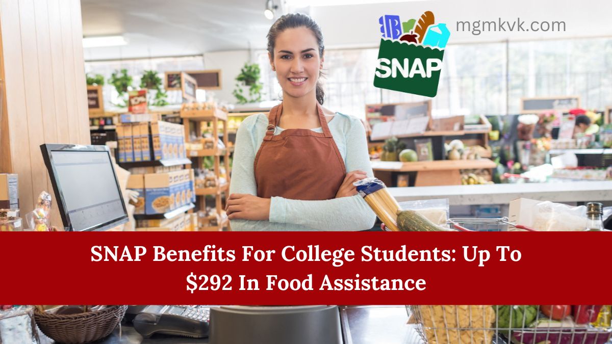 SNAP Benefits For College Students: Up To $292 In Food Assistance