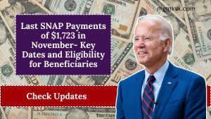 Last SNAP Payments of $1,723 in November- Key Dates and Eligibility for Beneficiaries