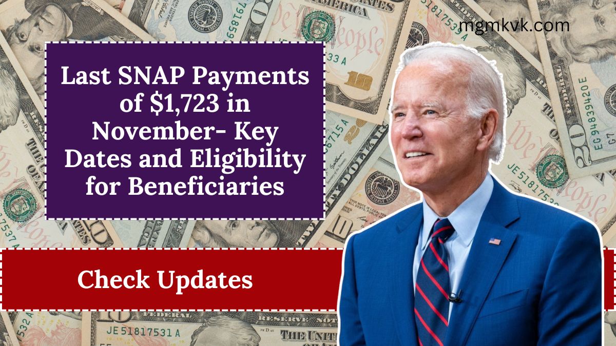 Last SNAP Payments of $1,723 in November- Key Dates and Eligibility for Beneficiaries