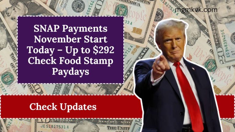 SNAP Payments November Start Today – Up to $292 Check Food Stamp Paydays