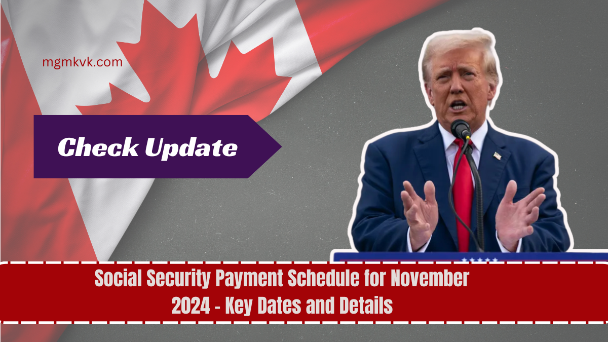 Social Security Payment Schedule for November 2024 - Key Dates and Details