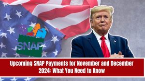 Upcoming SNAP Payments for November and December 2024: What You Need to Know