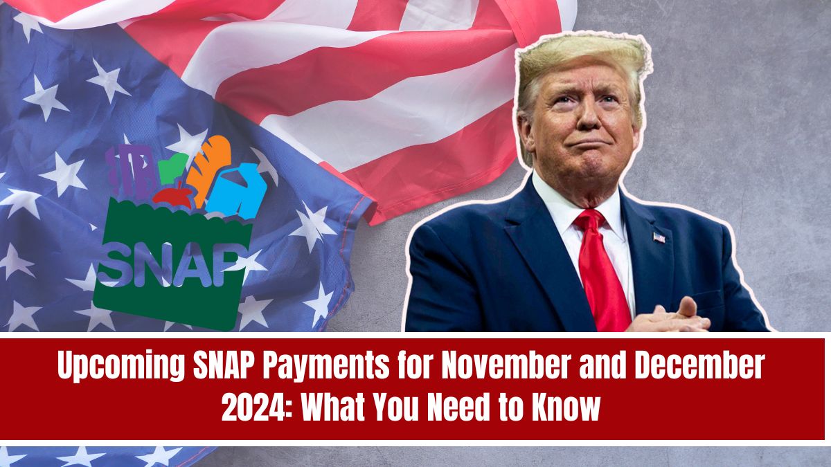 Upcoming SNAP Payments for November and December 2024: What You Need to Know